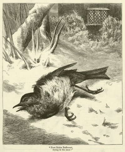 "Pobre Robin Pechirrojo, ¡Muriendo en la nieve!" (grabado) de English School
