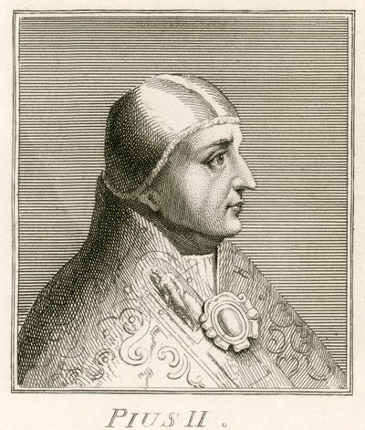 Papa Pío II de English School