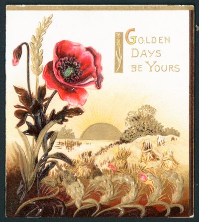 Amapola en el campo en tiempo de cosecha, tarjeta de English School
