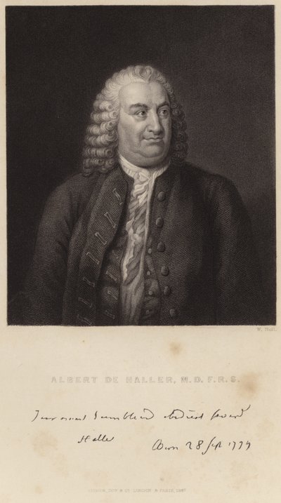 Retrato de Albert de Haller de English School