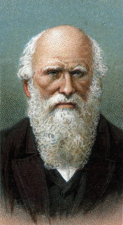 Retrato de Charles Robert Darwin (1809-1882) - De la serie “Líderes de Hombres” - Cromolitografía - Escuela Inglesa, siglo XX de English School