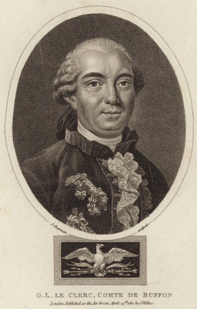 Retrato de Georges-Louis Leclerc, Conde de Buffon de English School
