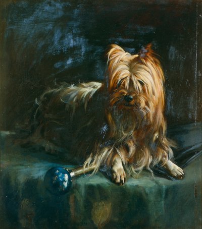 Retrato de Jim; un Yorkshire Terrier de English School