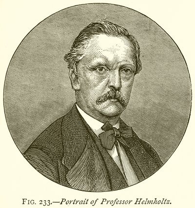 Retrato del profesor Helmholtz de English School
