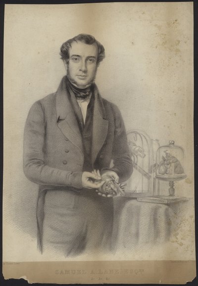 Retrato de Samuel Armstrong Lane de English School