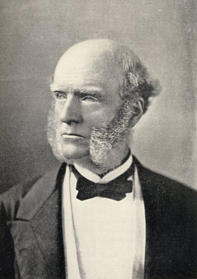 Retrato de Thomas Hughes (1822-96) de English School