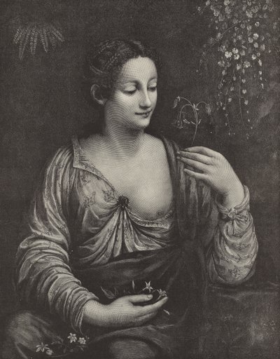 Retrato de una joven dama de English School