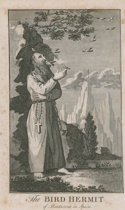 Retrato del Ermitaño de los Pájaros de Montserrat de English School