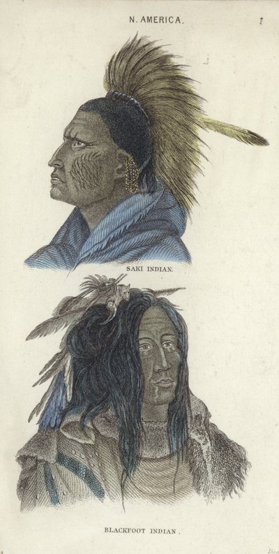 Retratos de un indio Saki y un indio Blackfoot de English School