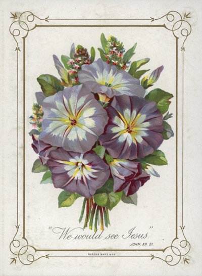 Ramillete de flores de English School