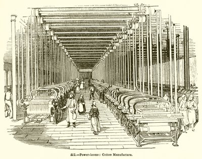 Telar mecánico: Fabricación de algodón de English School
