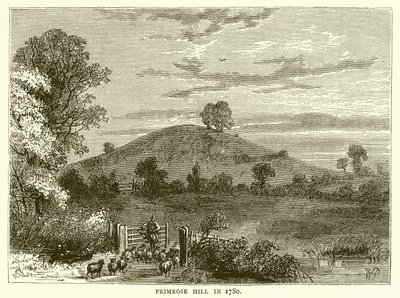 Primrose Hill en 1780 de English School