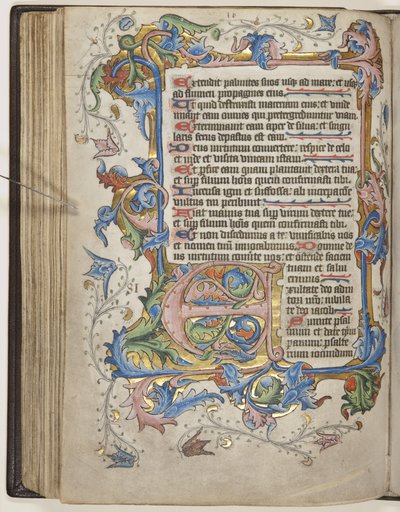 Salterio con calendario de uso Sarum, c.1425-75 de English School