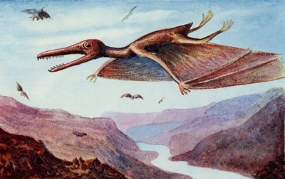 Pterodáctilo, de "The Wonder Book of would you believe it", editado por Harry Golding de English School