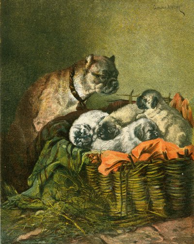Pug y cachorros de English School