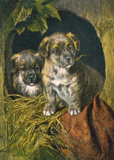 Cachorros, primera aparición de English School