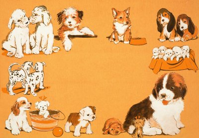 Cachorros de English School