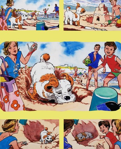 Cachorro en la playa de English School