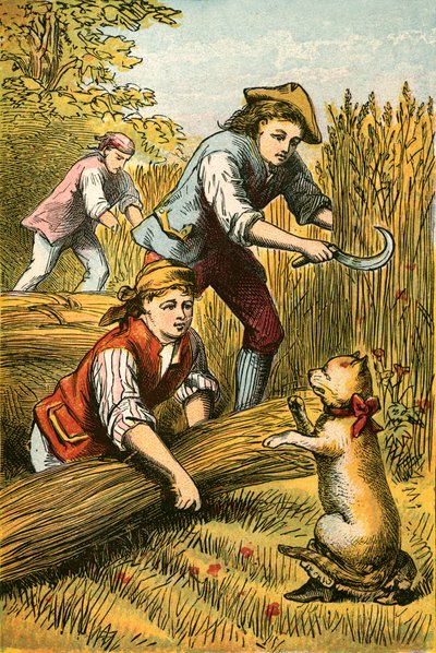 El gato amenaza a los segadores de English School