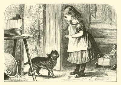 Gatito, Gatito de English School