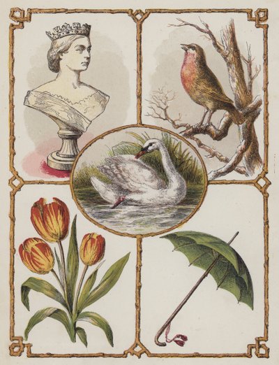 Reina, petirrojo, cisne, tulipán, paraguas de English School
