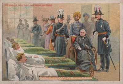 La reina Victoria visitando a los soldados británicos heridos en el Hospital de Netley, Hampshire, 1898 de English School