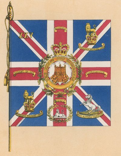 Colores de la Reina del Vigésimo Quinto, o los Propios del Rey de English School