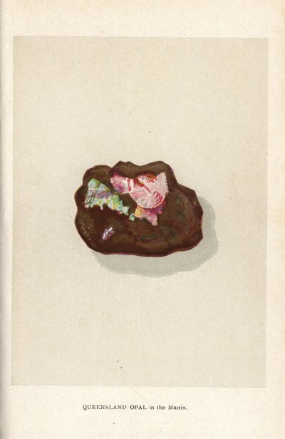 Ópalo de Queensland en la matriz, de "Precious Stones and Gems" de Edwin Streeter, Londres, George Bell & Sons de English School