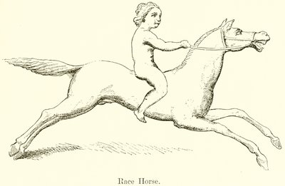 Caballo de carreras de English School