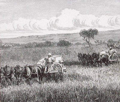 Cosecha, Sur de Adelaida, Australia de English School