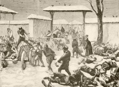 Recuperación de los muertos tras el asedio de Plevna, Bulgaria, en 1877 (litografía) de English School