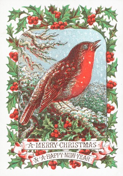 Petirrojo rojo sentado en una rama, tarjeta de Navidad de English School
