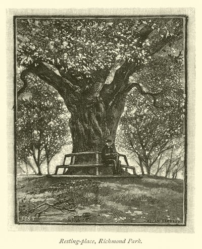 Lugar de descanso, Parque de Richmond de English School