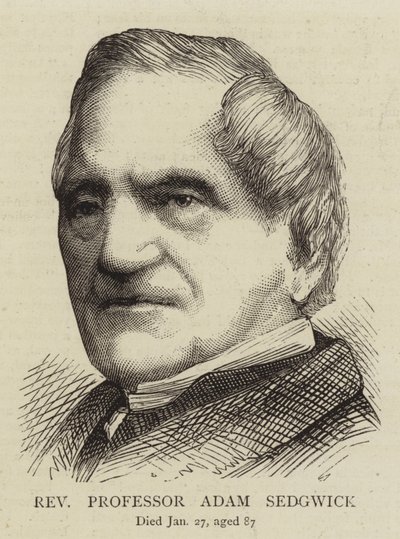Reverendo profesor Adam Sedgwick (grabado) de English School