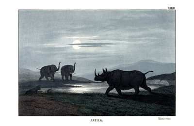 Rhinoceros de English School