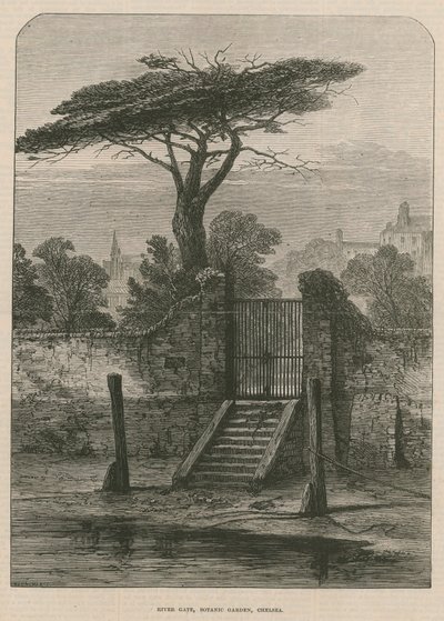 Puerta del río del Jardín Botánico de English School