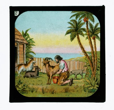 Robinson Crusoe de English School