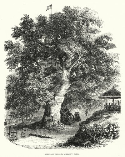 El castaño de Robinson Crusoe (grabado) de English School
