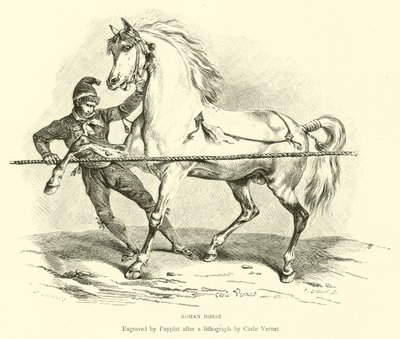 Caballo romano de English School