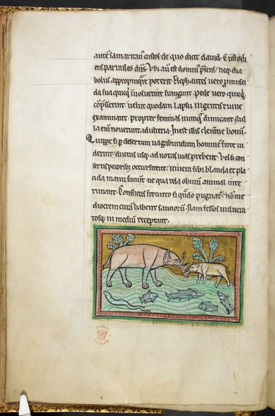 Real 12 F.XIII, f.13v Un elefante grande y uno pequeño en un arroyo lleno de peces.  Bestiario (ff. 3-141), Lapidario (ff. 141v-149)  2do cuarto del siglo XIII de English School