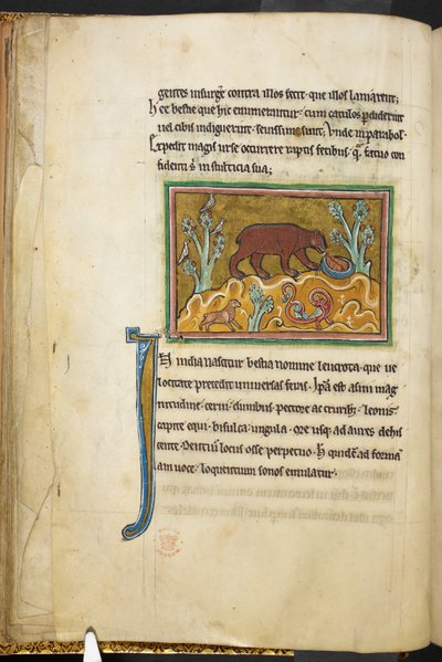 Real 12 F.XIII, f.22v Un oso mirando cachorros.  Bestiario (ff. 3-141), Lapidario (ff. 141v-149)  2do cuarto del siglo XIII de English School