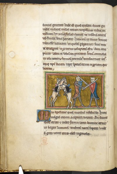 Real 12 F.XIII, f.42v Dos caballeros que luchan a pie con espadas, mientras sus caballos luchan entre sí sobre las patas traseras. , de Bestiario (ff. 3-141), Lapidario (ff. 141v-149)  , segundo cuarto del siglo XIII (vitela) de English School