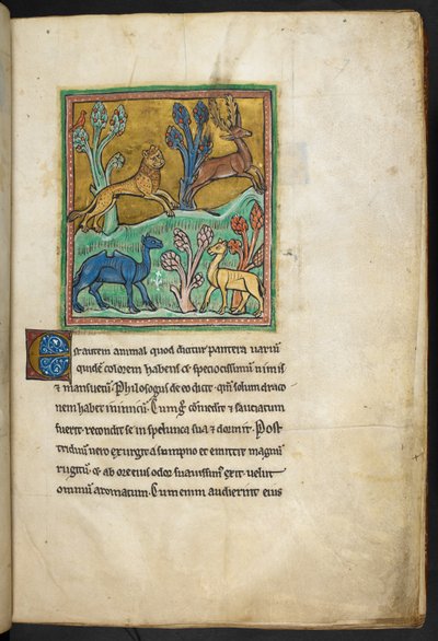 Real 12 F.XIII, f.7   Un leopardo persiguiendo a un ciervo, con un camello y otro animal.  de Bestiario (ff. 3-141), Lapidario (ff. 141v-149)  2do cuarto del siglo XIII de English School