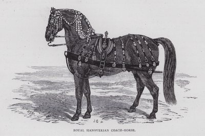 Caballo de carruaje hanoveriano real (grabado) de English School