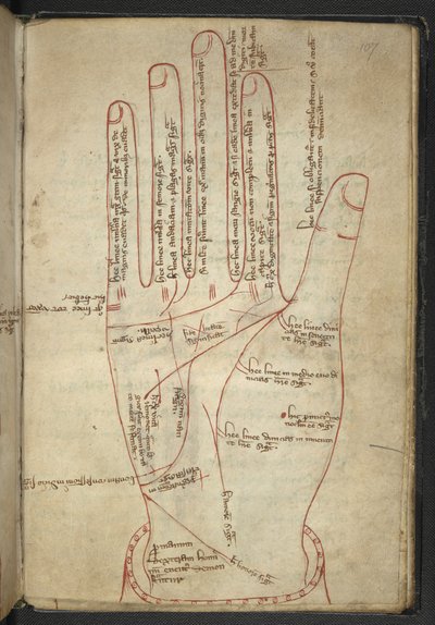 Royal MS 12 C XII f.107r Lectura de manos, en una miscelánea medieval (tinta sobre vitela) de English School