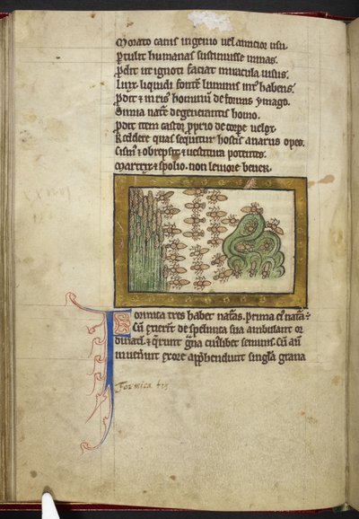 Royal MS 12 C XIX, f.24v Hormigas, de 