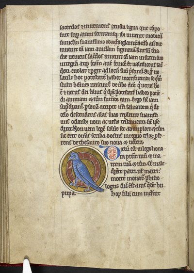 Royal MS 12 C XIX f.50v, Abubilla, de 
