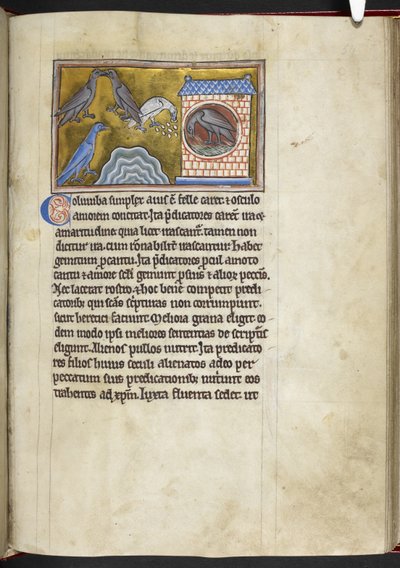 Royal MS 12 C XIX f.54r Palomas, de 