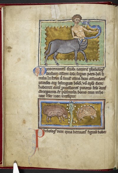 Royal MS 12 C XIX, f.8v Centaur, from 