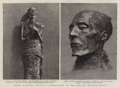 Momias reales recientemente desvendadas en el Museo Boulak, Egipto de English School